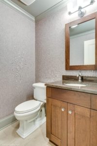 Lower Level Powder Room